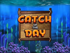 Catch of the Day